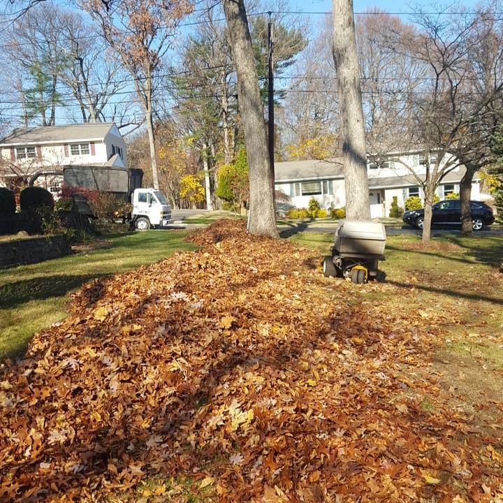 Lawn care team seasonal cleanup in Wayne NJ